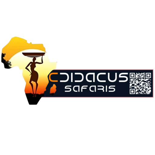 CDIDACUS SAFARIS Logo