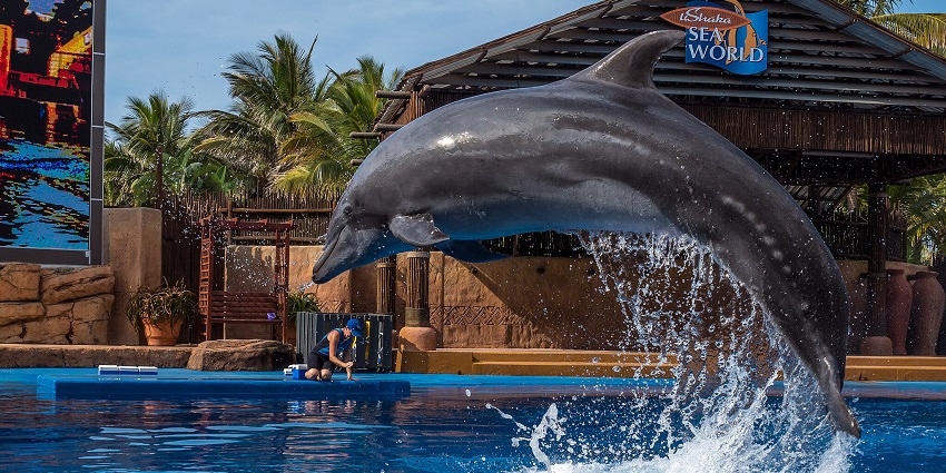 uShaka Marine World