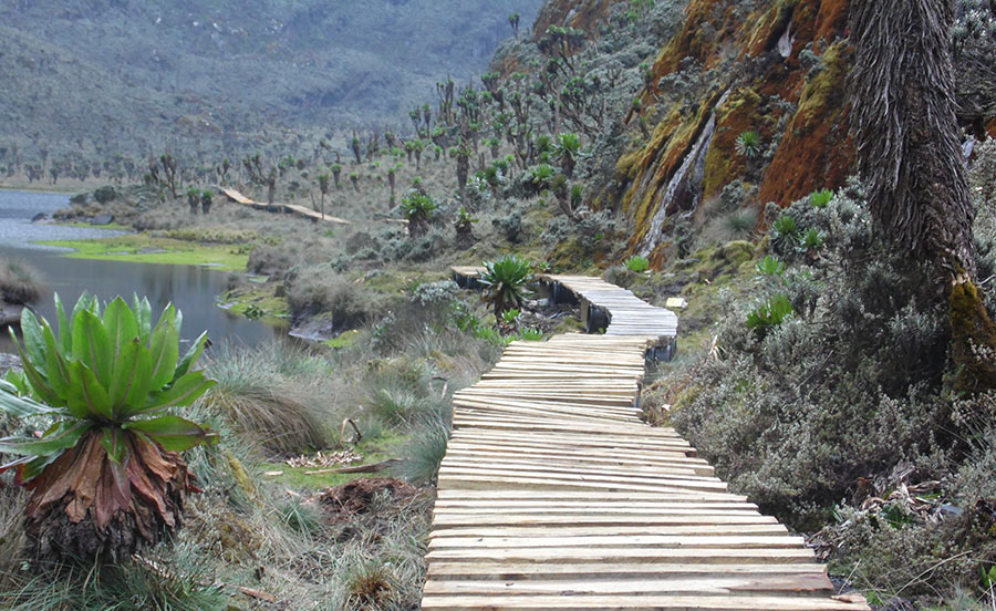 Rwenzori Mountains National Park