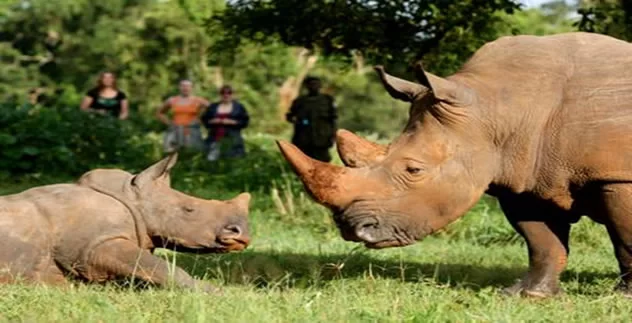 Ziwa Rhino Sanctuary