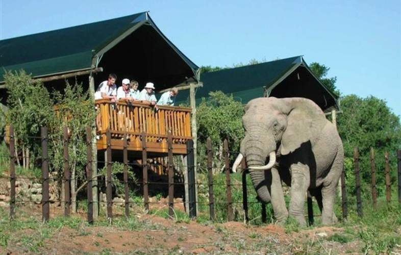 Addo Elephant National Park