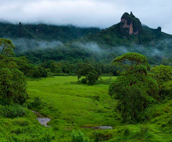 Bale Mountains National Park