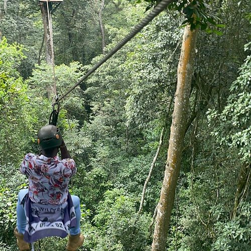 Mabira Forest