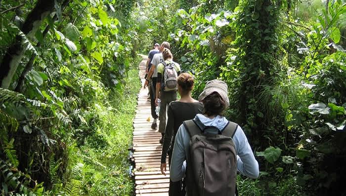 Kibale National Park